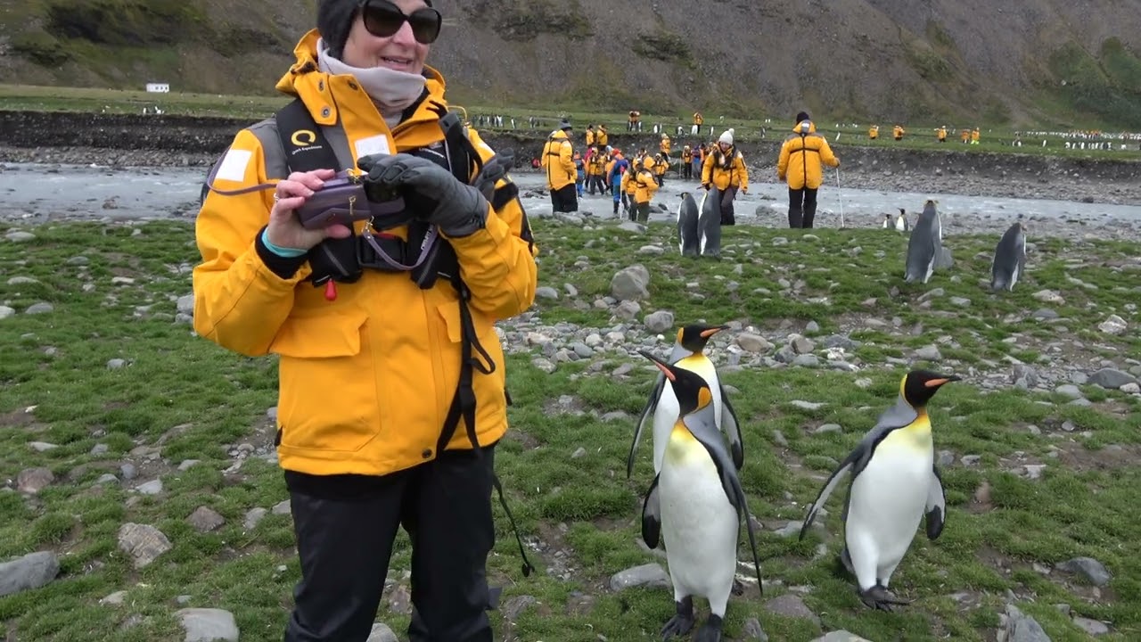 St  Andrews Bay South Georgia   4K Part 4