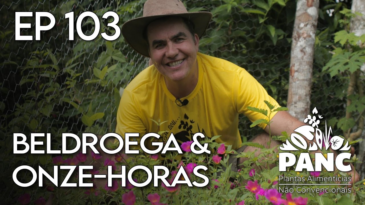 EPISÓDIO 103 - BELDROEGA & ONZE-HORAS | #pancnaveia #valdelykinupp