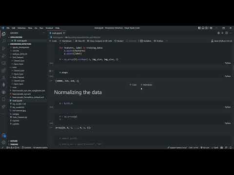 Driver Drowsiness Detection System Video Demo