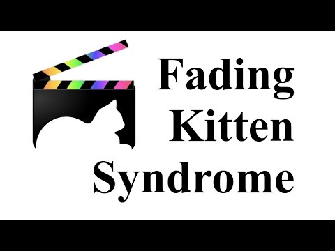 วีดีโอ: Fading Kitten Syndrome - อาการและสาเหตุของอาการลูกแมวซีดจาง