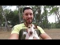 Education canine salon de provence  all dog vlog chien