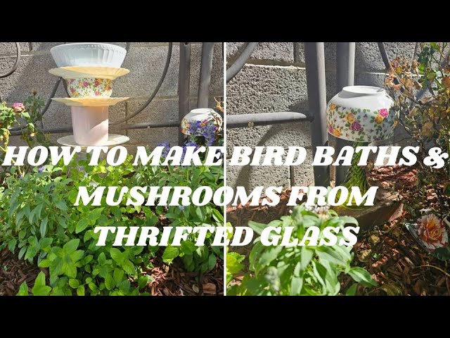 How to Make Bird Bath: Easy Steps for a Beautiful Backyard Oasis