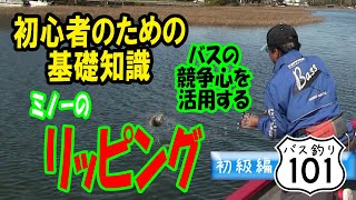 【ヒロ内藤流バス釣り】初心者のための基礎知識：バスの競争心を活用！ミノーのリッピングをマスターしよう【バス釣り101 初心者】