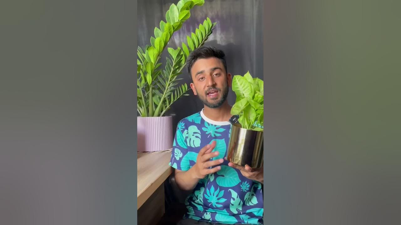 how-to-use-planters-without-drainage-holes-youtube