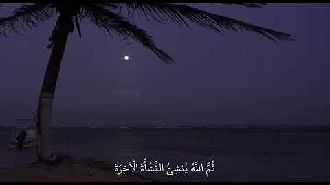 ابداع القارئ|عبدالرحمن مسعد✨🎧