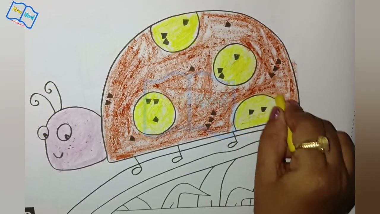 Coloring tortoise | Drawing and coloring tortoise picture 