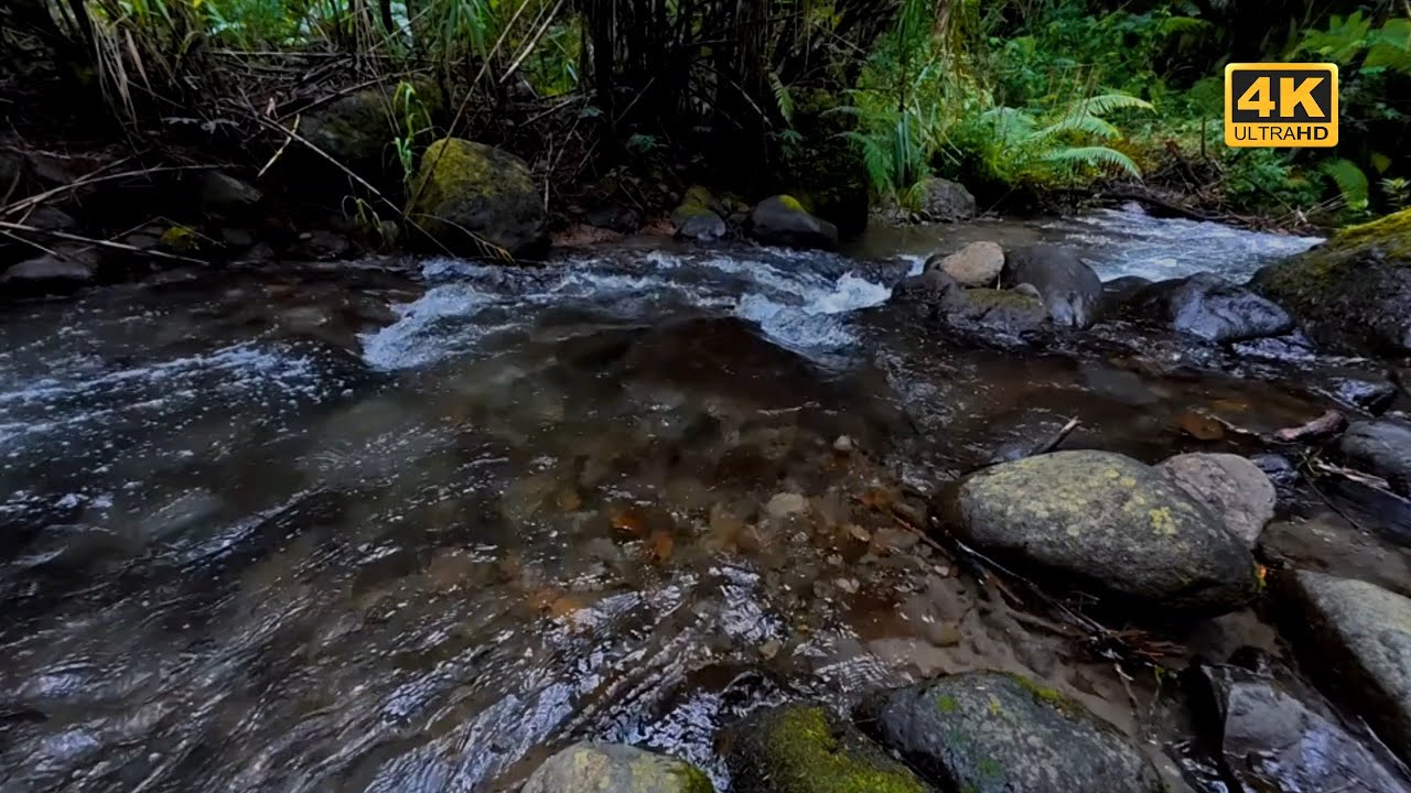 Pure River Ambience 🌿 Natural Water Sounds for Long, Calm Nights