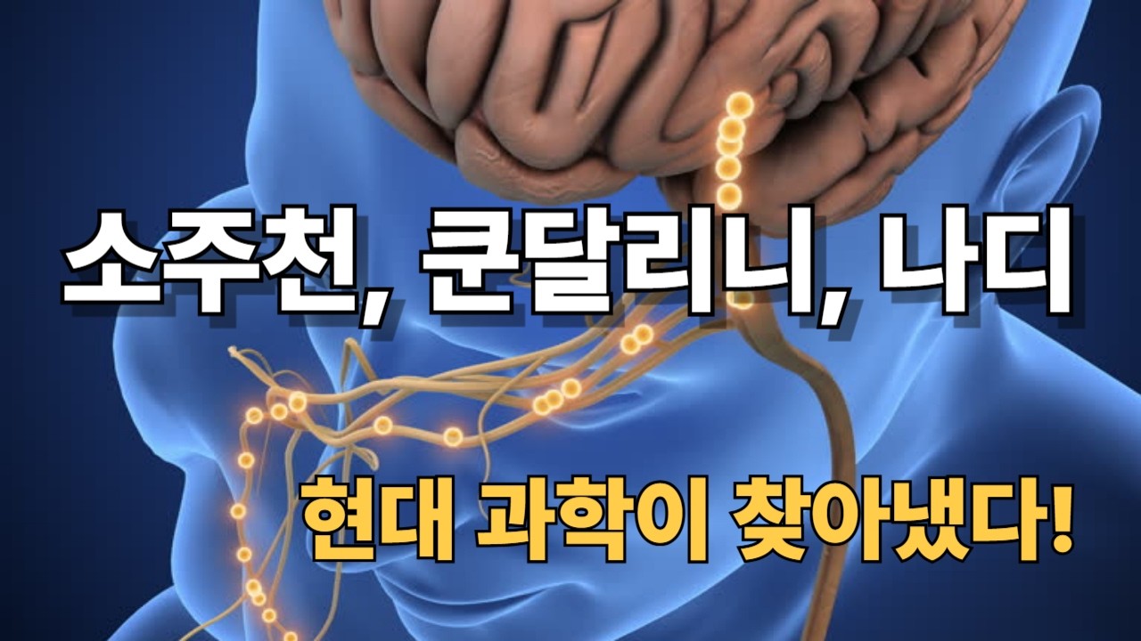 미주신경의 비밀: 고대 수행자들이 숨긴 몸 안의 황금 열쇠