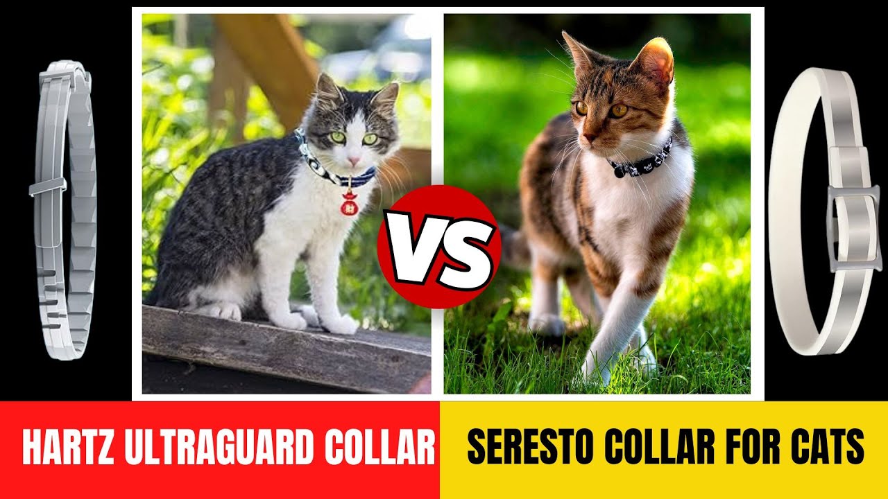 Hartz UltraGuard  vs Seresto Flea & Tick Collar for Cats - Which is Best?