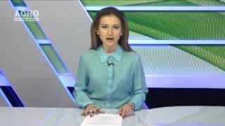Curs valutar. Euro și dolarul scad
