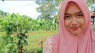 Download Lagu Janda 24 Thn Cari Jodoh Di Pernikahan MP3