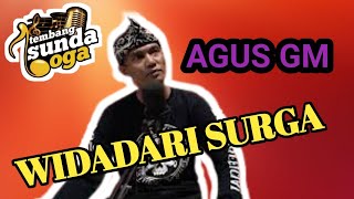 WIDADARI SURGA - HENDY RESTU ( Cover Agus GM )