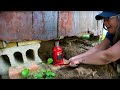 Middle of video