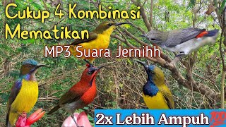 Cukup 4 Kombinasi Suara Pikat Ini 2x Lebih Ampuhh💯