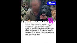Пес по кличке Донбасс спас бойцов на СВО