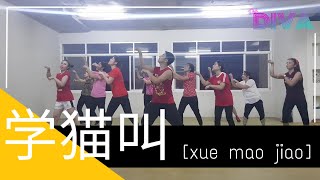 เพลง 学猫叫 [xue mao jiao] เพลงใน Tik Tok | The Diva Thailand