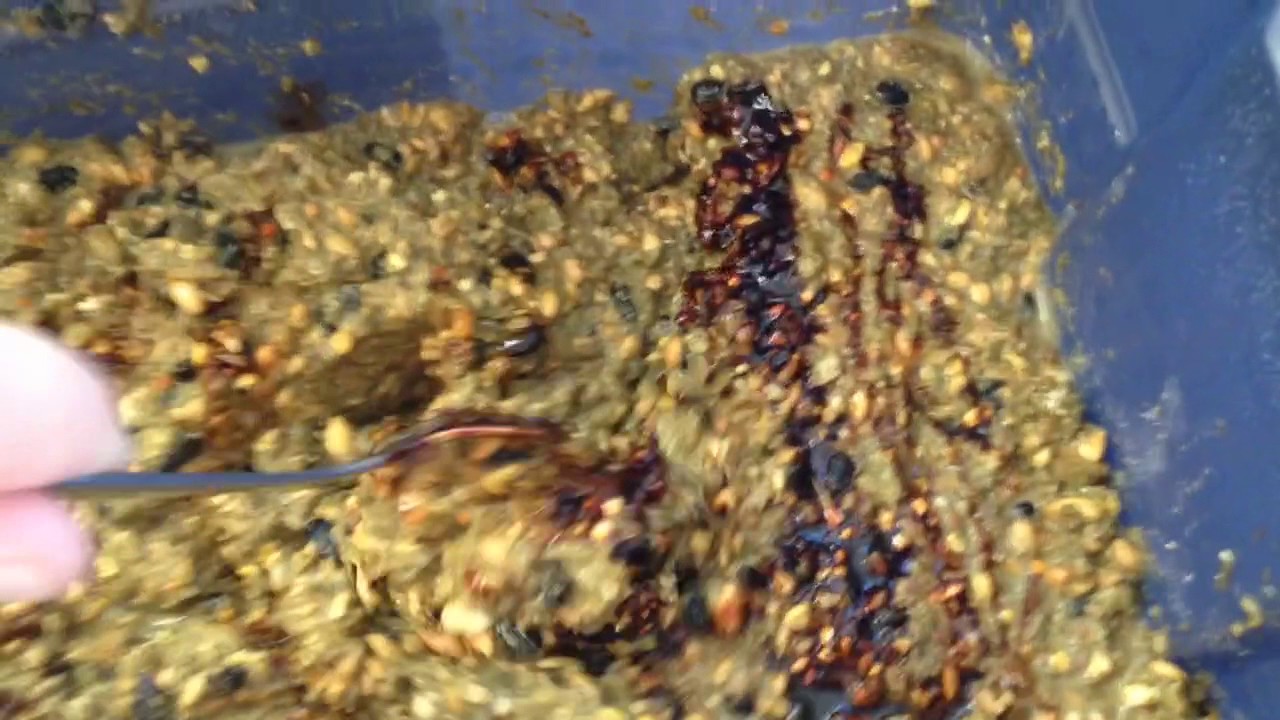 Blackstrap molasse in fermented food for chickens YouTube
