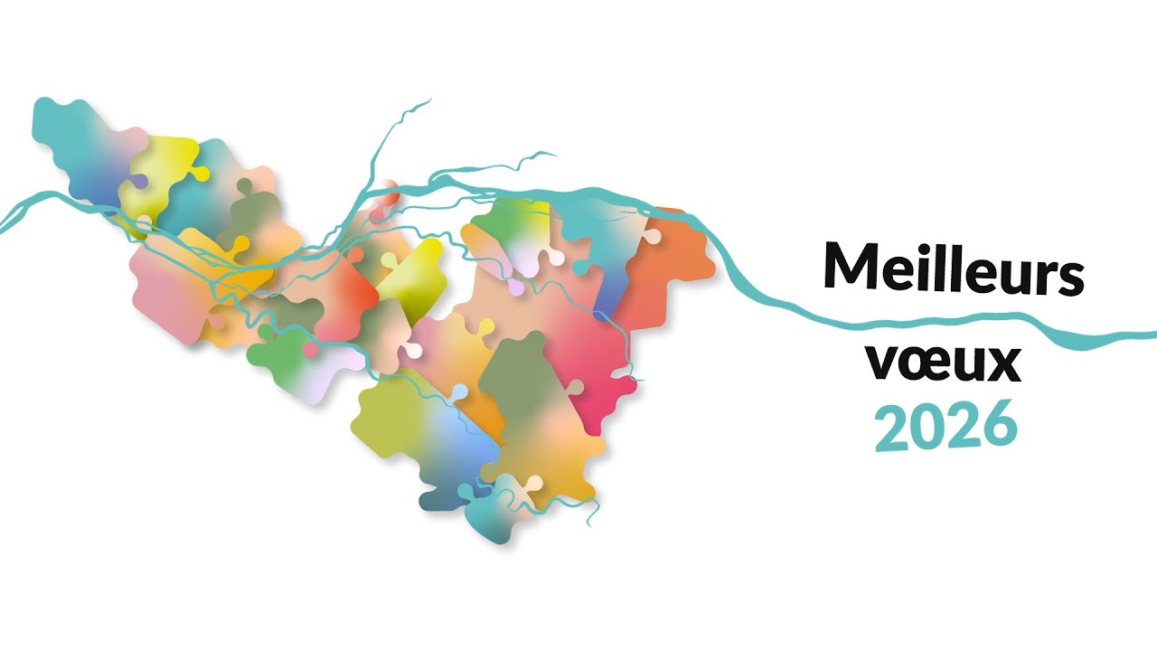 Meilleurs voeux 2026