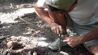 Bow Drill Fire - Pignut Hickory