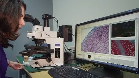 Need a Camera for Your Microscope? Choose Lumenera