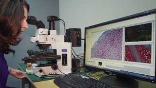 Need a Camera for Your Microscope? Choose Lumenera's INFINITY Microscopy Cameras