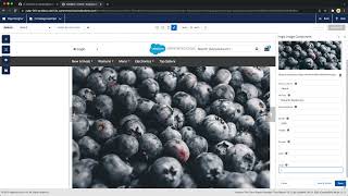 imgix Salesforce Commerce Cloud Integration Demo