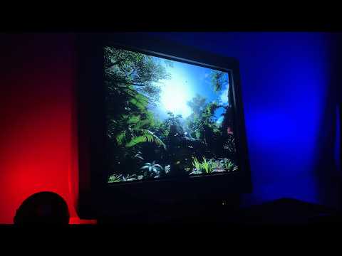 This Game Looks TOO REAL on a CRT