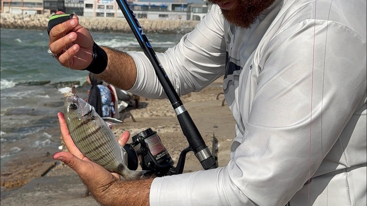 ده اللي تعملو في البحر العالي عشان تاخد حصيله كويسه مجزره الشراغيش تعليم صيد في البحر العالي