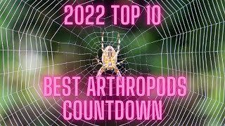 2022 Top 10 Best Arthropods Countdown