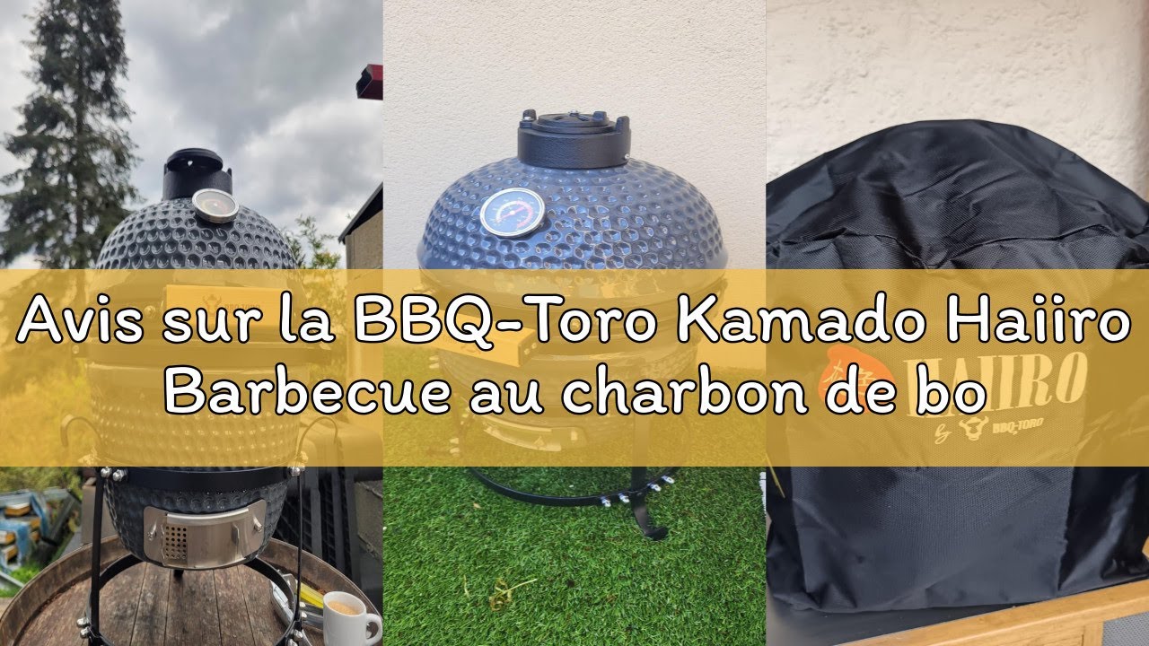 Motore Per Girarrosto Onlyfire – 3.5W, Alimentazione 3-12V, Velocità Regolabile 1.5-7 Giri/min, Per Barbecue E Campeggio