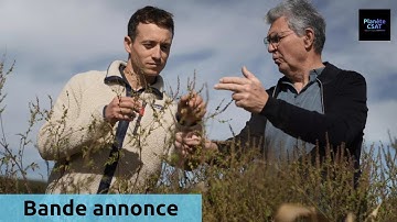 Sur le front : Pollen : bientôt tous allergiques ? | bande annonce | France 5