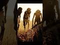 Witness Life 2.0 Million Years Ago | The Price of Meat in the Wild Plains