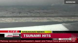Japan Tsunami Fast Swimmer Unidentified Creature 1