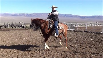 Teach your horse to properly yield off your leg Clint Weaver Horsemanship