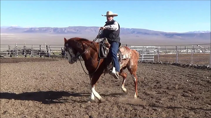 Teach your horse to properly yield off your leg Clint Weaver Horsemanship