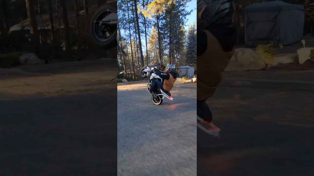 Beating cheeks on the mini 