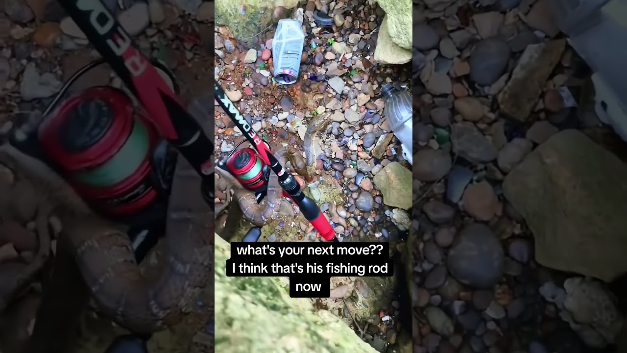 what would you do next? #fishing #outdoors #bassfishing #shorts