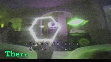 TIny Whooping at Davids