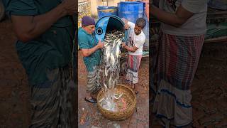#reels #viral #fishmarket #shorts