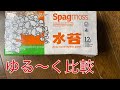 ニュージーランド産とチリ産水苔を比較しつつビカクを板付するぞ！