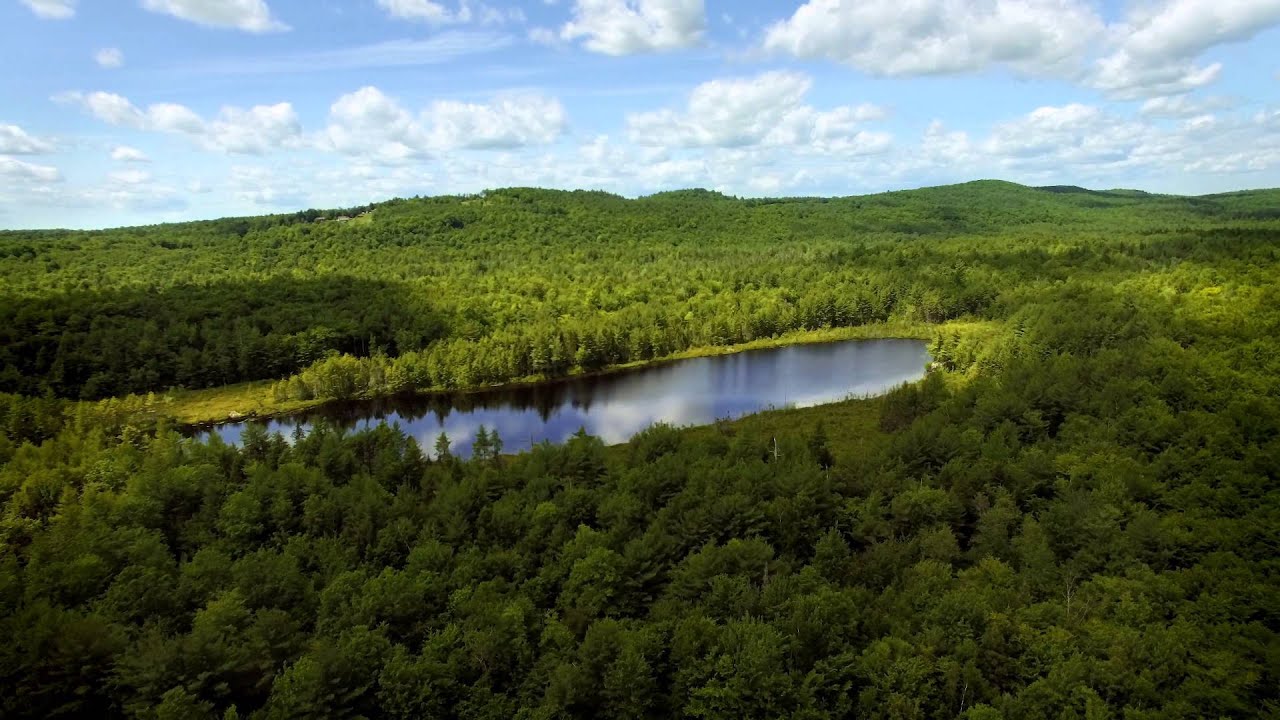 Bear Pond Property for Sale in Maine YouTube