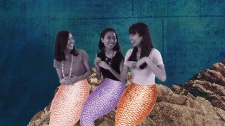 Video thumbnail of "Hey There Young Sailor (Official Video) - The Impatient Sisters"