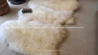 British White Sheepskin Rugs