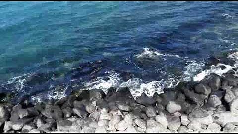 تلاوة الشيخ الشريم على شاطى جده