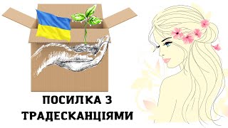 Перша посилка за останні пів року. Отримала нові сорти традесканцій, нове задоволення для мого хоббі