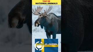 Top 25–21 National Animals 🌍🐅 | Global Icons &amp; Symbolic Creatures (Part 4)