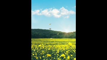 الشيخ عبدالباسط عبدالصمد- سورة الصف