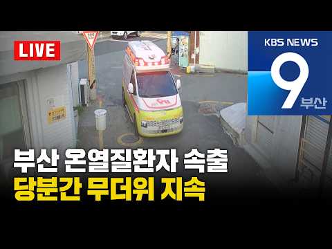 [<strong>LIVE</strong>] KBS 뉴스9 <strong>부산</strong> - 2026.08.03(월)