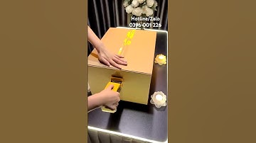 Hoả táng thú cưng Cần Thơ, nhận đưa đón, hoả táng thú cưng các tỉnh miền tây. Đt: 0396 001 226