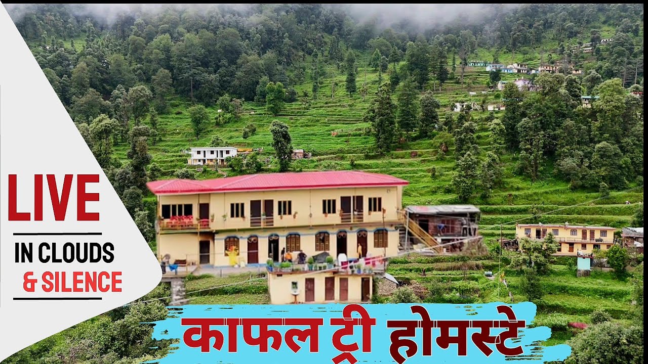 जंगल के बीच बसा काफल ट्री होमस्टे || Perfect Offbeat Stay in Uttarakhand ||